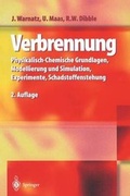 Cover: Verbrennung - Springer