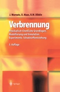 Cover: Verbrennung - Springer
