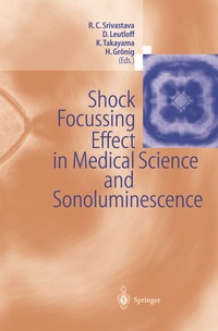 Abbildung von: Shock Focussing Effect in Medical Science and Sonoluminescence - Springer
