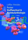 Cover: Poster Stoffwechsel - Springer