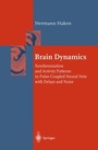 Cover: Brain Dynamics - Springer