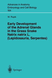 Abbildung von: Early Development of the Adrenal Glands in the Grass Snake Natrix natrix L. (Lepidosauria, Serpentes) - Springer