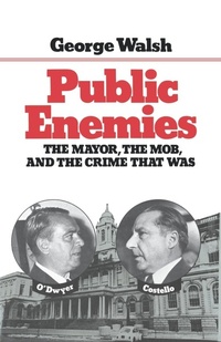 Enlarge image Cover: Public Enemies - WW Norton & Co