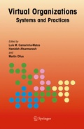 Cover: Virtual Organizations - Springer