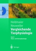 Cover: Vergleichende Tierphysiologie - Springer