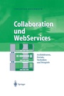 Cover: Collaboration und WebServices - Springer