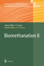 Cover: Biomethanation II - Springer