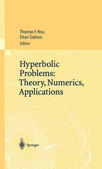 Enlarge image Cover: Hyperbolic Problems: Theory, Numerics, Applications - Springer