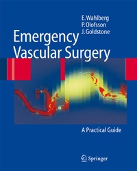 Bild: Emergency Vascular Surgery - Springer