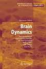 Cover: Brain Dynamics - Springer