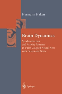 Enlarge image Cover: Brain Dynamics - Springer