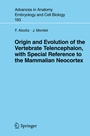 Cover: Origin and Evolution of the Vertebrate Telencephalon, with Special Reference to the Mammalian Neocortex - Springer