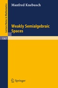 Cover: Weakly Semialgebraic Spaces - Springer