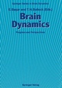 Cover: Brain Dynamics - Springer