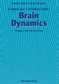 Cover: Brain Dynamics - Springer