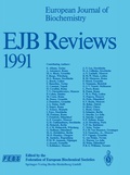 Cover: EJB Reviews 1991 - Springer