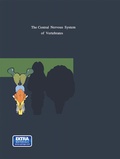 Cover: The Central Nervous System of Vertebrates - Springer