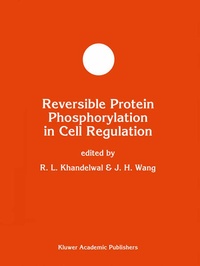Enlarge image Cover: Theorie der neuronalen Netze - Springer