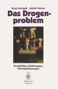 Cover: Das Drogenproblem - Springer