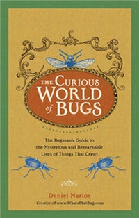Abbildung von: The Curious World Of Bugs - Perigee Books,U.S.
