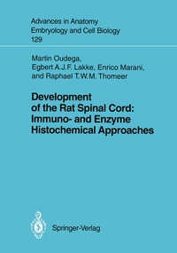 Bild: Development of the Rat Spinal Cord: Immuno- and Enzyme Histochemical Approaches - Springer