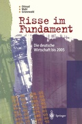 Cover: Risse im Fundament - Springer