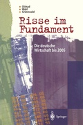 Cover: Risse im Fundament - Springer