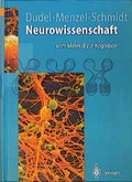 Cover: Neurowissenschaft - Spektrum Akademischer Verlag