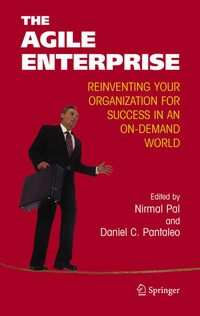 Enlarge image Cover: The Agile Enterprise - Springer