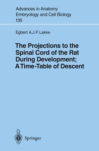 Abbildung von: The Projections to the Spinal Cord of the Rat During Development: A Timetable of Descent - Springer