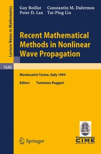 Enlarge image Cover: Recent Mathematical Methods in Nonlinear Wave Propagation - Springer
