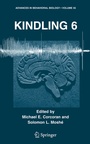 Cover: Kindling 6 - Springer
