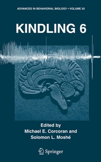 Abbildung von: Kindling 6 - Springer