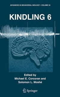 Enlarge image Cover: Kindling 6 - Springer