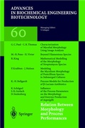 Cover: Relation Between Morphology and Process Performances - Springer