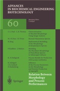 Cover: Relation Between Morphology and Process Performances - Springer