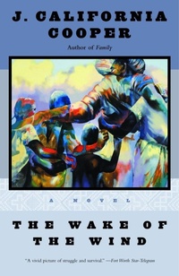 Enlarge image Cover: The Wake of the Wind - Anchor Books