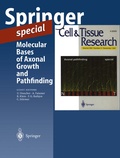 Cover: Molecular Bases of Axonal Growth and Pathfinding - Springer