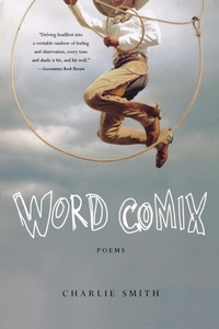 Enlarge image Cover: Word Comix - WW Norton & Co