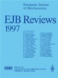 Cover: EJB Reviews 1997 - Springer