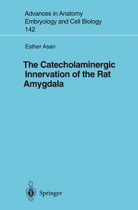 Abbildung von: The Catecholaminergic Innervation of the Rat Amygdala - Springer