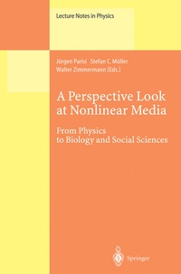 Enlarge image Cover: A Perspective Look at Nonlinear Media - Springer