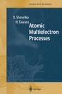 Cover: Atomic Multielectron Processes - Springer
