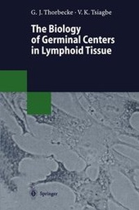 Abbildung von: The Biology of Germinal Centers in Lymphoid Tissue - Springer