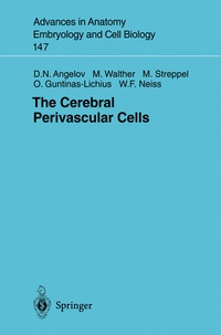 Abbildung von: The Cerebral Perivascular Cells - Springer