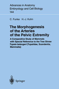 Enlarge image Cover: The Morphogenesis of the Arteries of the Pelvic Extremity - Springer