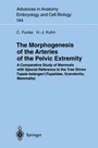 Cover: The Morphogenesis of the Arteries of the Pelvic Extremity - Springer