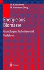 Cover: Energie aus Biomasse - Springer