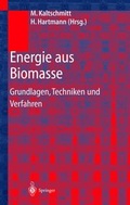 Cover: Energie aus Biomasse - Springer