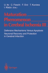 Bild: Maturation Phenomenon in Cerebral Ischemia III - Springer